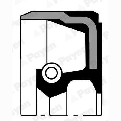 PAYEN NA5057 Crankshaft Shaft Seal