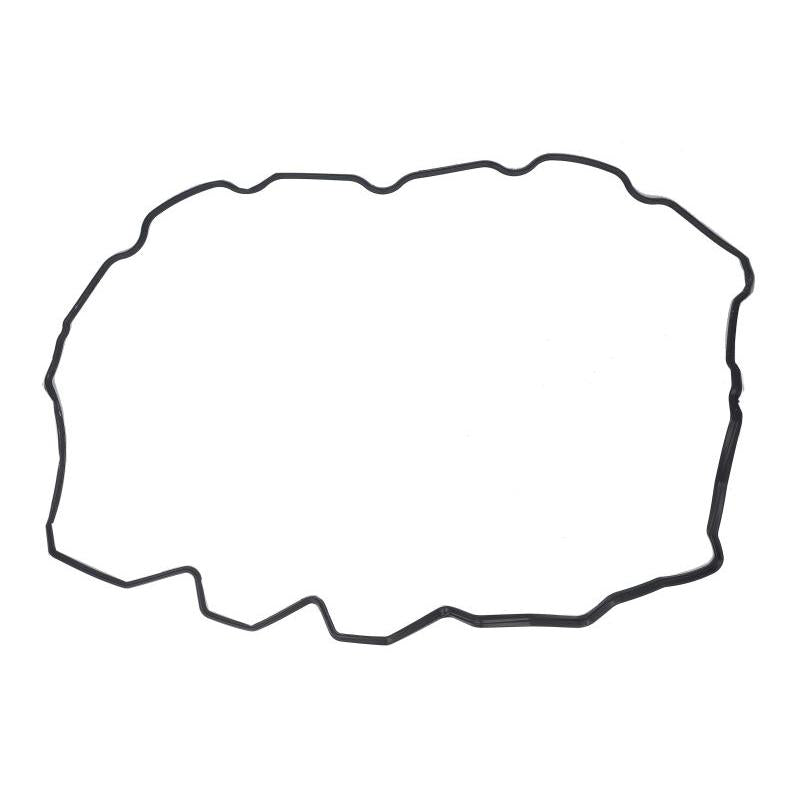 FPT 504070038-FPT Cylinder Head Cover Gasket