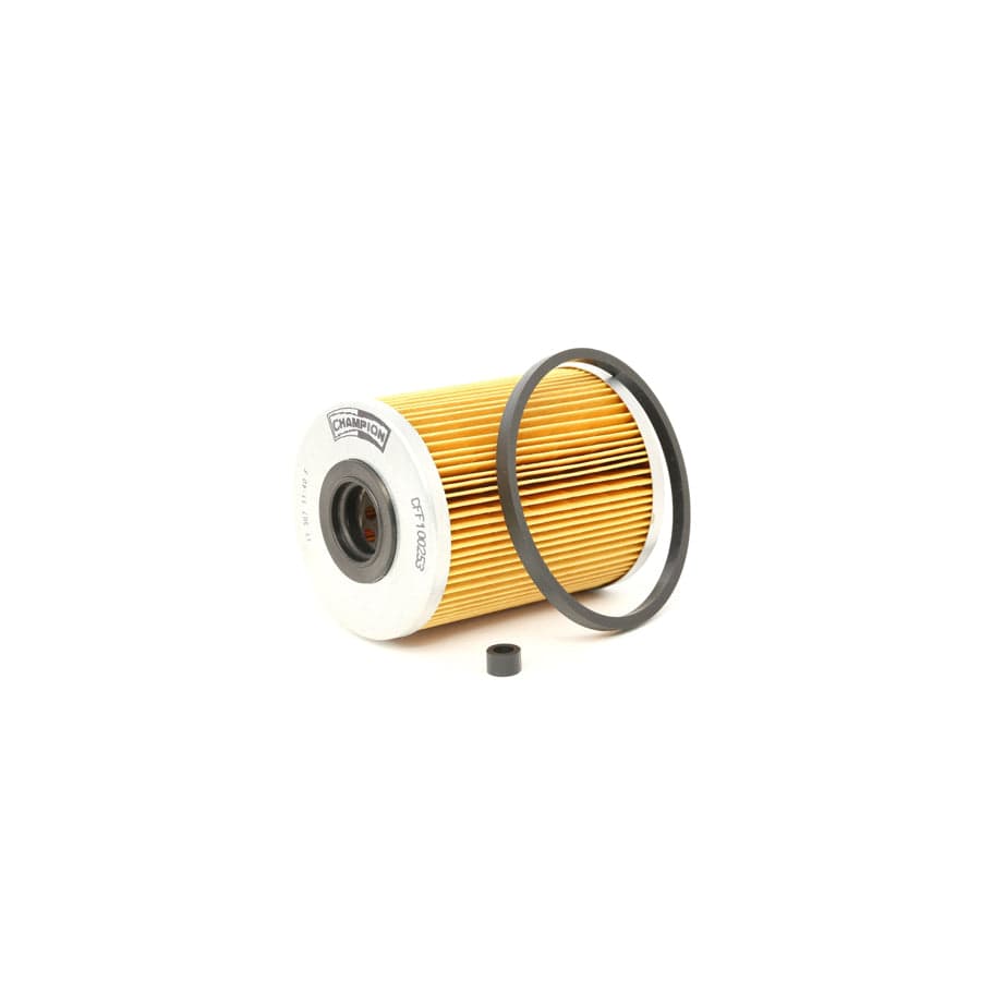 Champion Cff100253 Fuel Filter