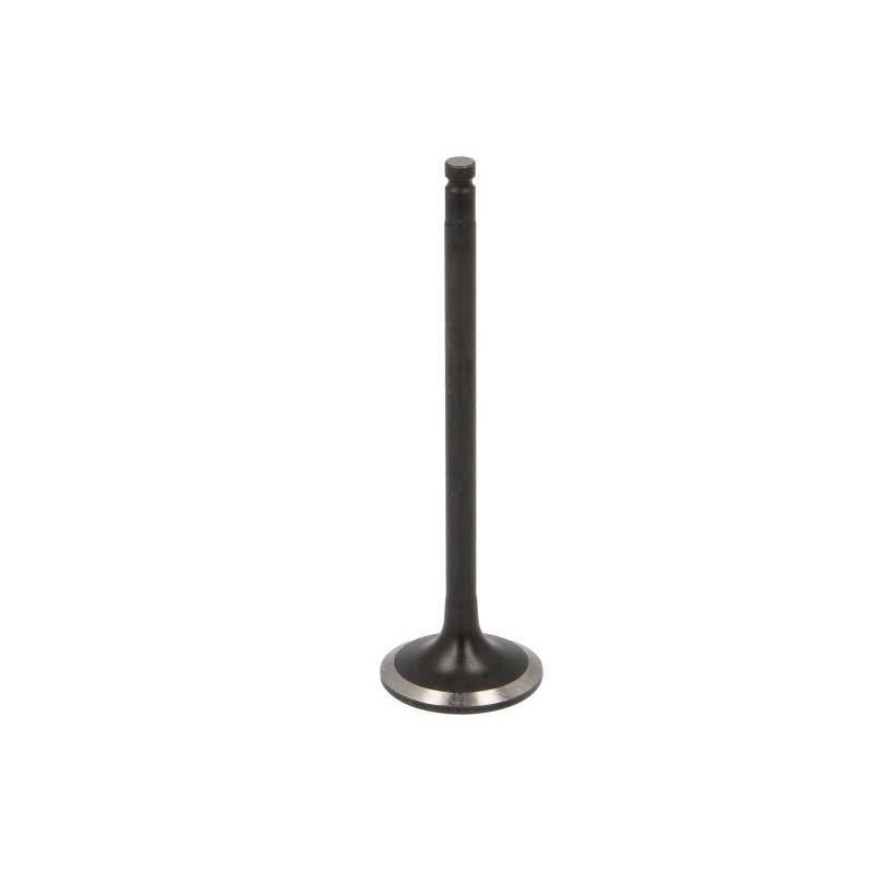 FRECCIA 8122/BMNT Exhaust Valve