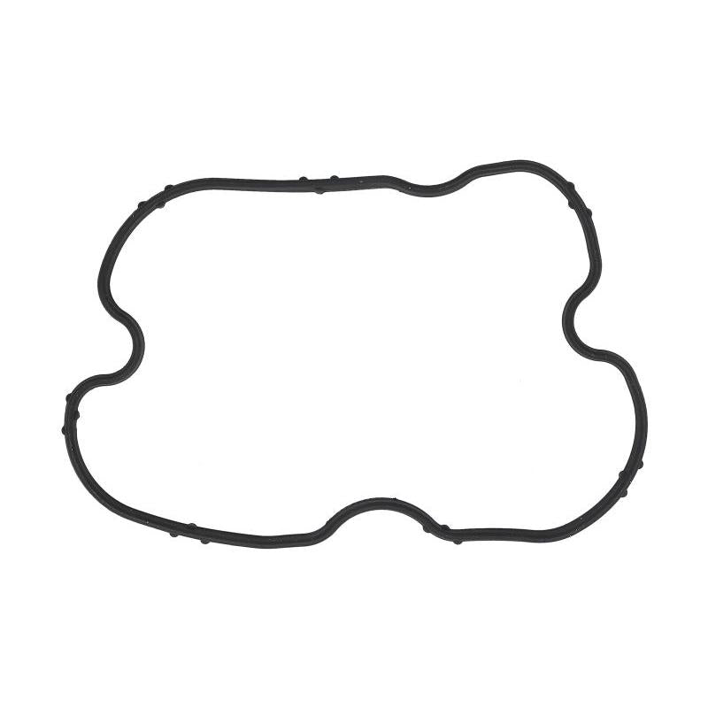 FPT 504173590-FPT Cylinder Head Cover Gasket