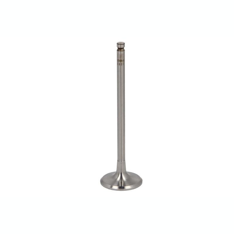 NE 147037002900 Intake Valve