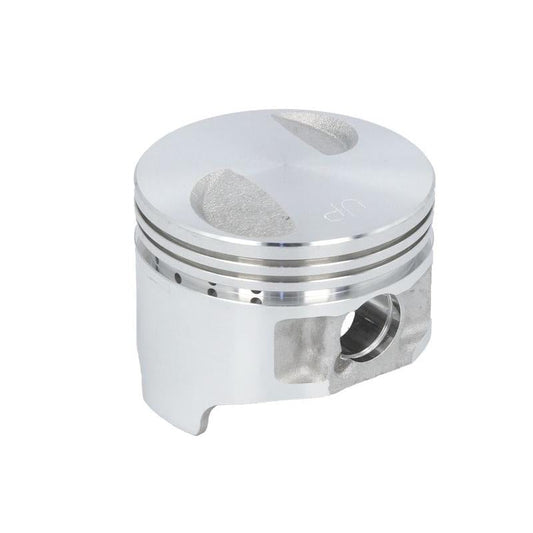 PARSUN F805020101 Piston