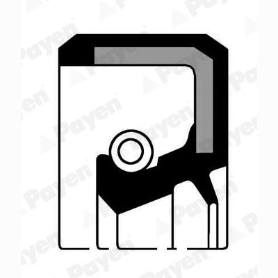 PAYEN NJ527 Wheel Hub Shaft Seal
