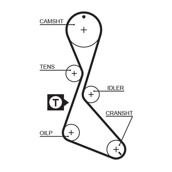 GATES GAT5056 Timing Belt