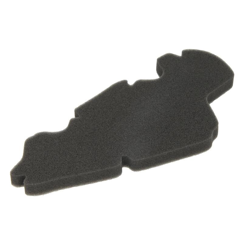 RMS 100600401 Air Filter