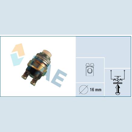 FAE FAE63170 Switch