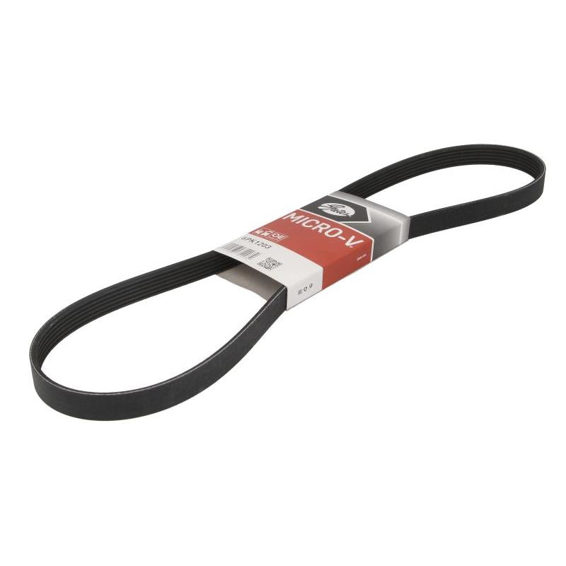 GATES GAT6PK1203 V-Ribbed Belt