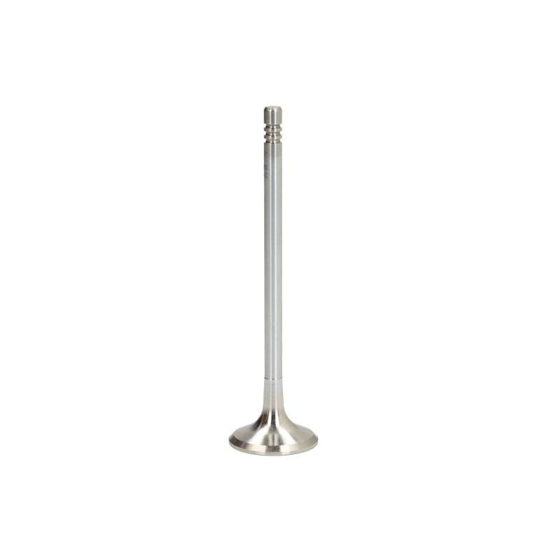 NE 148035000600 Exhaust Valve