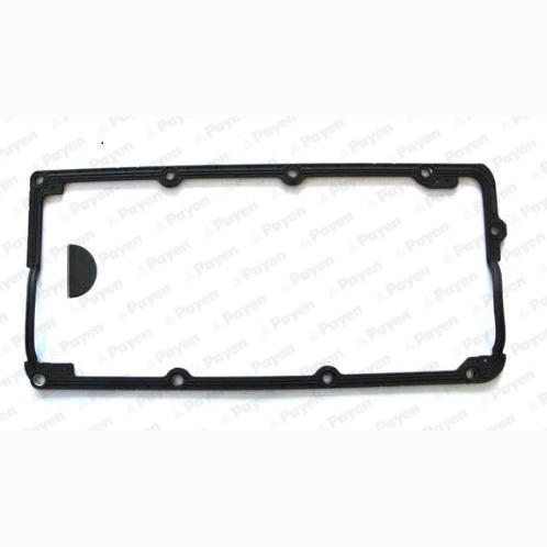 PAYEN HM5223 Cylinder Head Cover Gasket Set