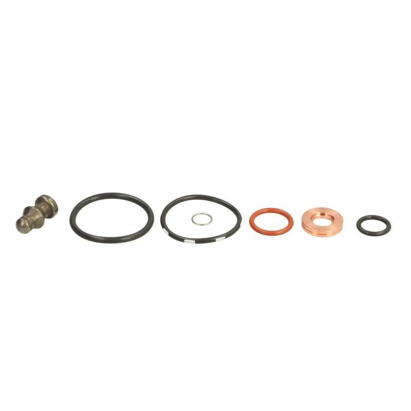 REINZ 8642-01 Unit Injector Repair Kit
