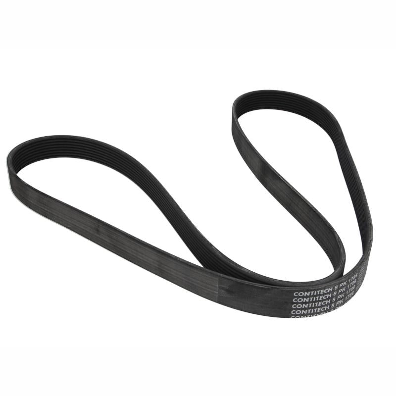 CONTITECH 8PK1786 V-Ribbed Belt