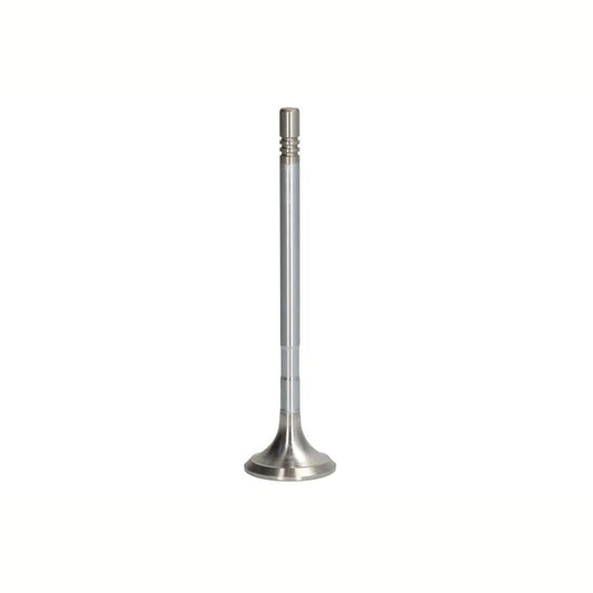 NE 148021001200 Exhaust Valve