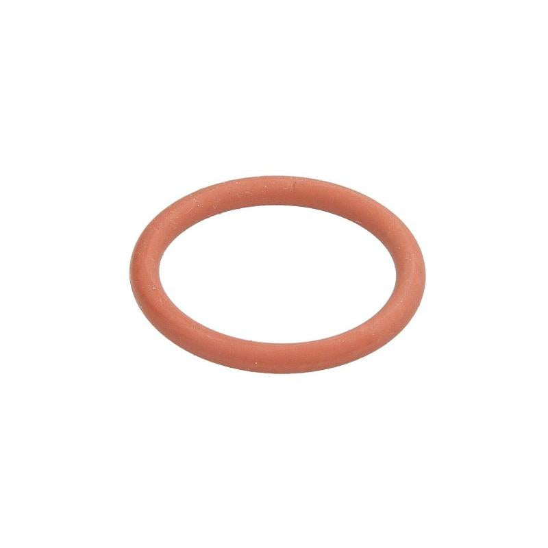 DELPHI 00-0092 Seal Ring