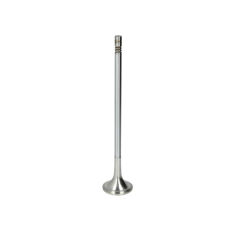 DT SPARE PARTS 2.10582 Exhaust Valve