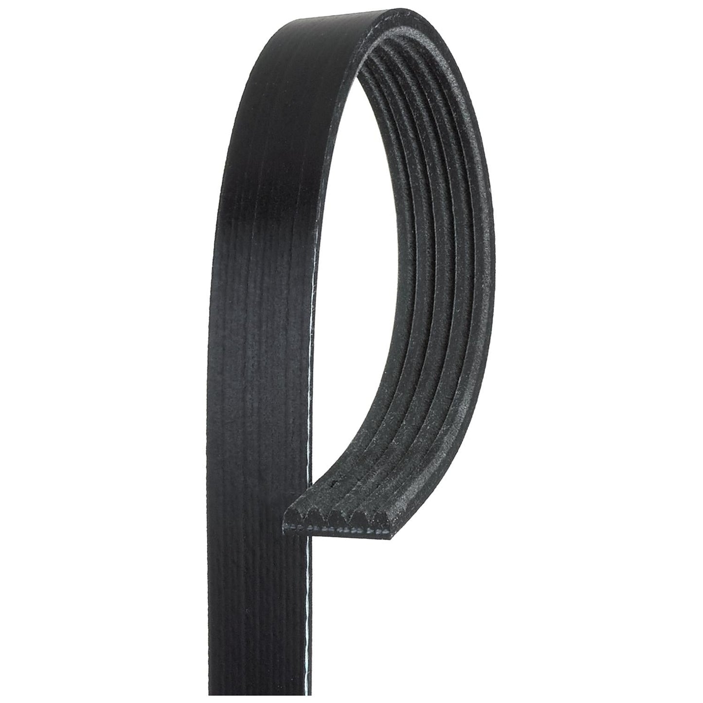GATES GAT5PK1297 V-Ribbed Belt