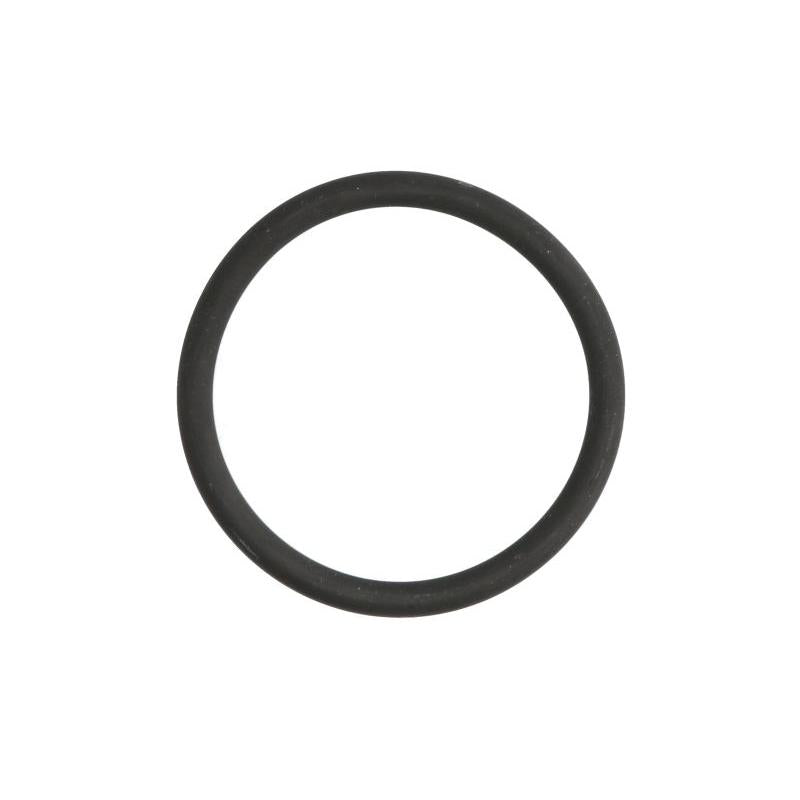 LEMA LE126835 Water Pump Gasket