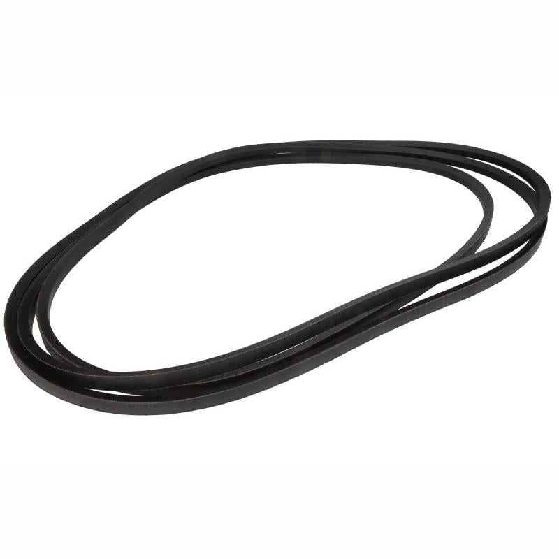 GATES 0202517-GAT V-Belt