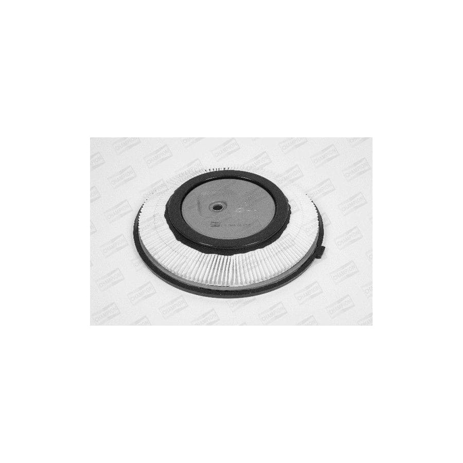 Champion W247/606 Air Filter