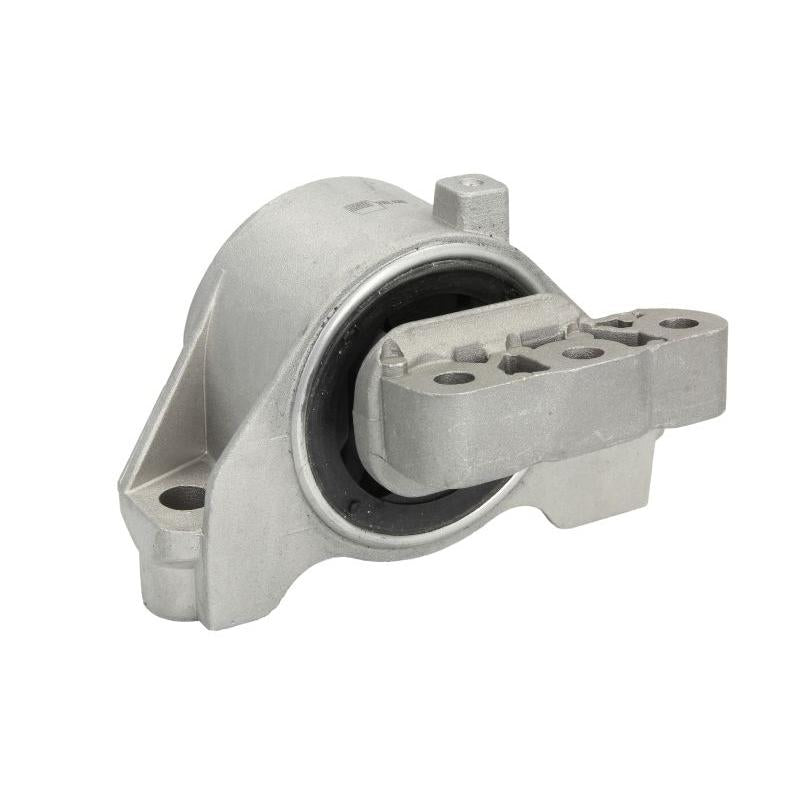 REINHOCH RH112087 Engine Mount