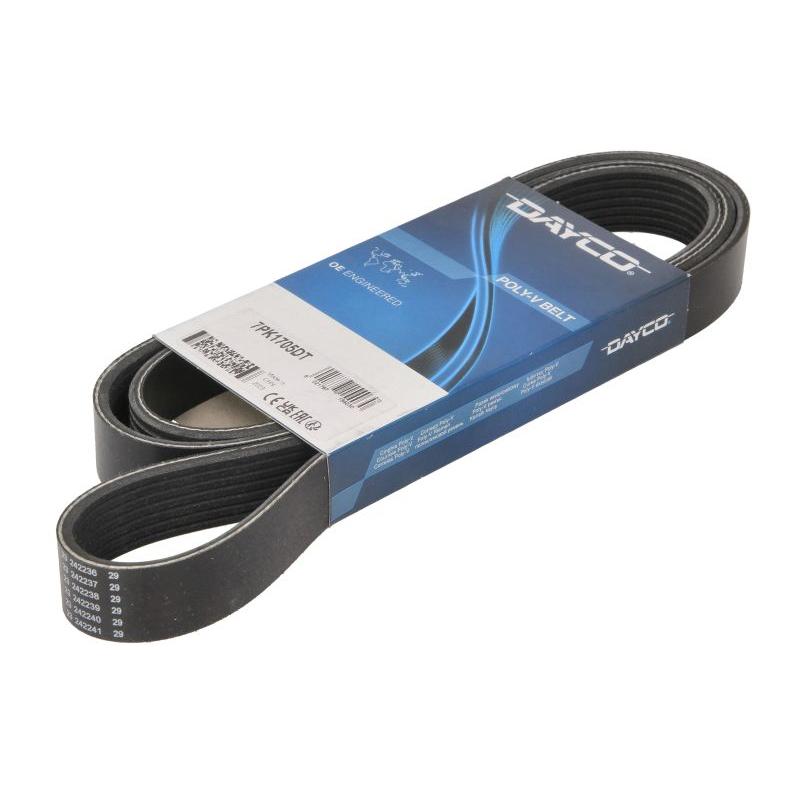 DAYCO DAY7PK1705DT V-Ribbed Belt