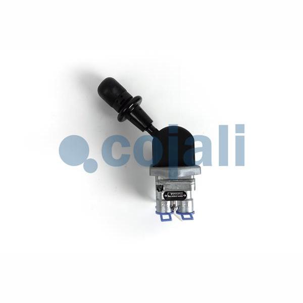 DELPHI BGK003 Screw