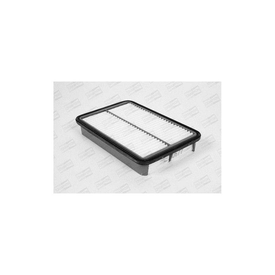 Champion U677/606 Air Filter