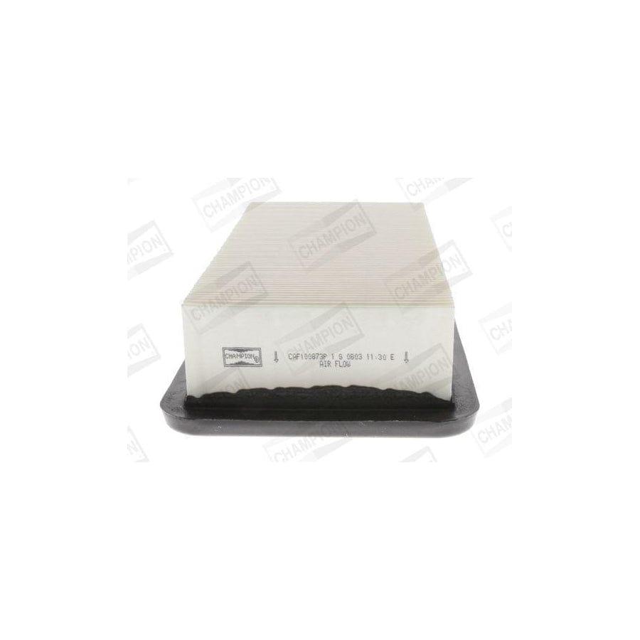 Champion Caf100873P Air Filter
