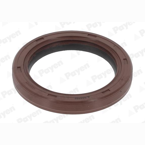 PAYEN NA5500 Crankshaft Shaft Seal