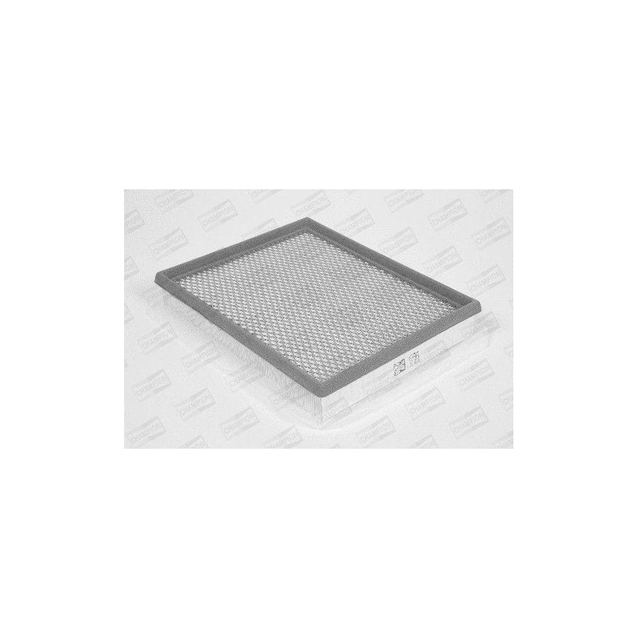 Champion U795/606 Air Filter