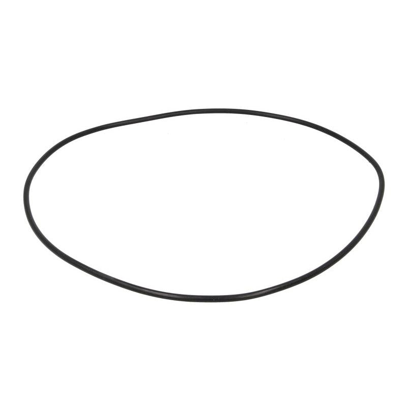 OE RVI RVI5010439871 Abs Sensor Ring