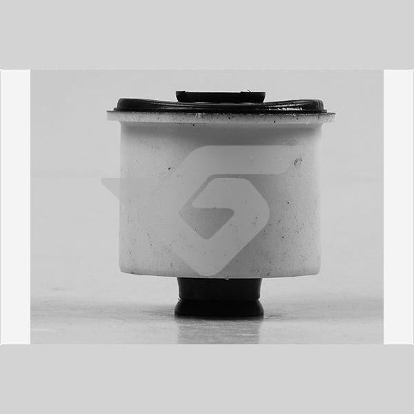 HUTCHINSON HU590171 Axle Beam Bushing