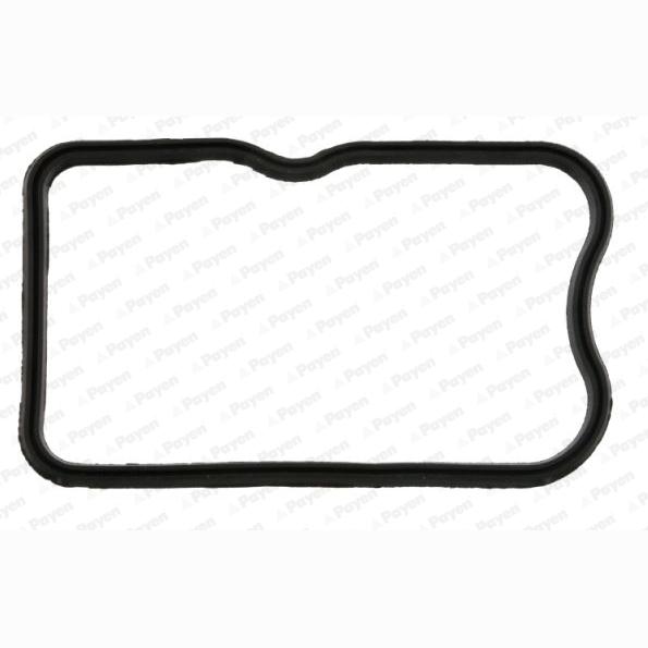PAYEN JM7135 Cylinder Head Cover Gasket