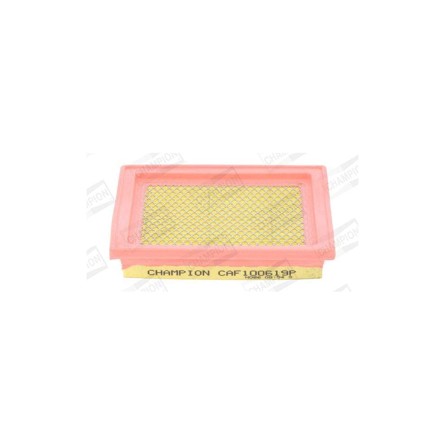 Champion Caf100619P Air Filter