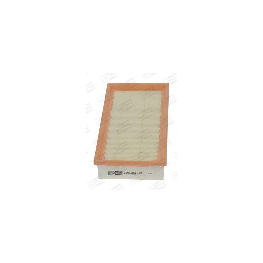 Champion Caf100551P Air Filter