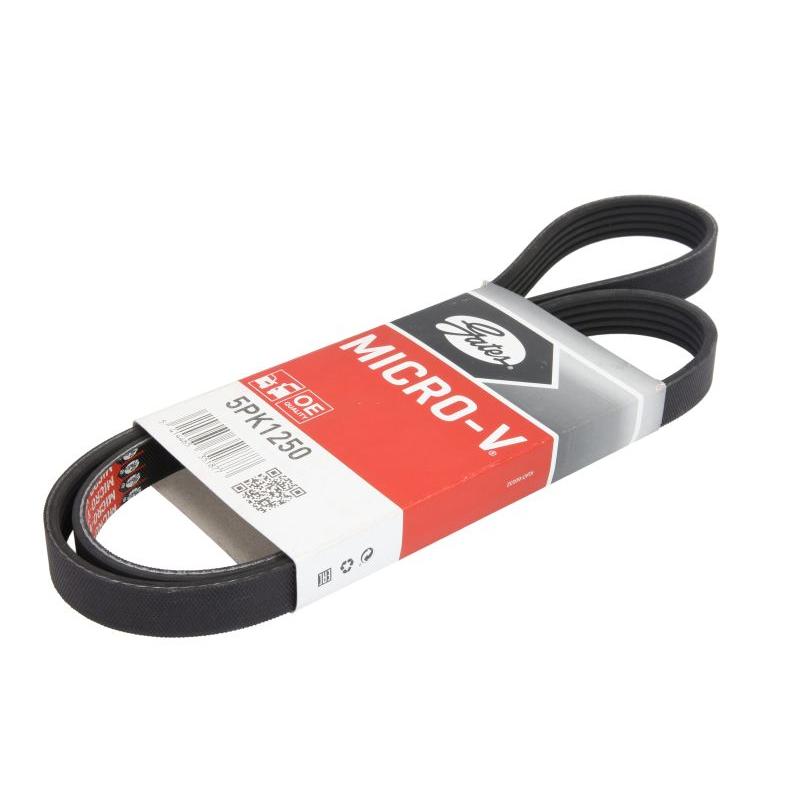 GATES GAT5PK1250 V-Ribbed Belt