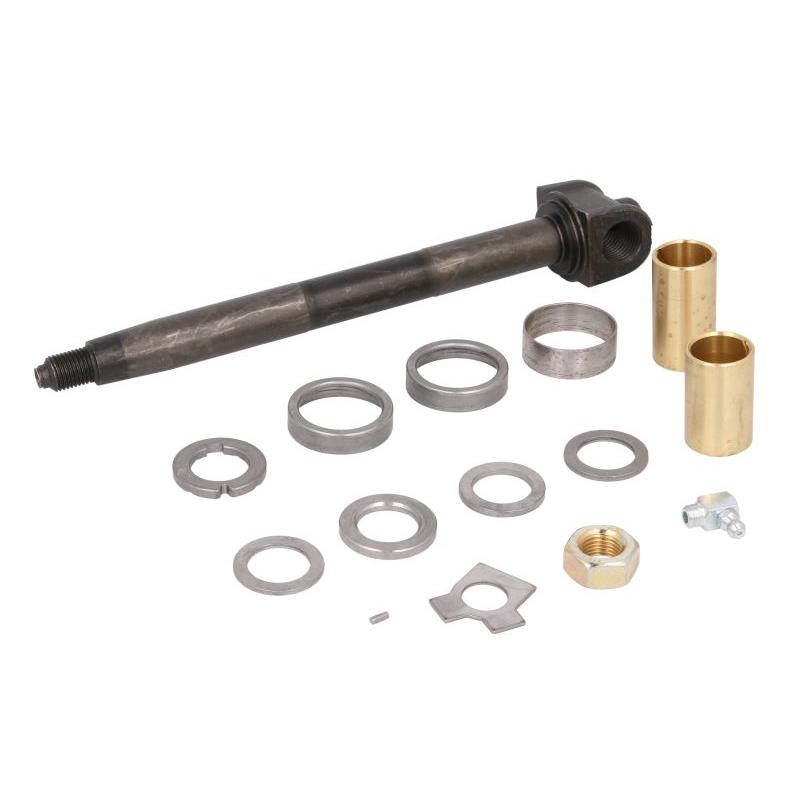 FEBI FE01124 Kingpin Repair Kit