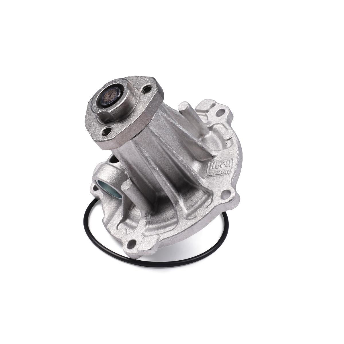 HEPU P542 Water Pump