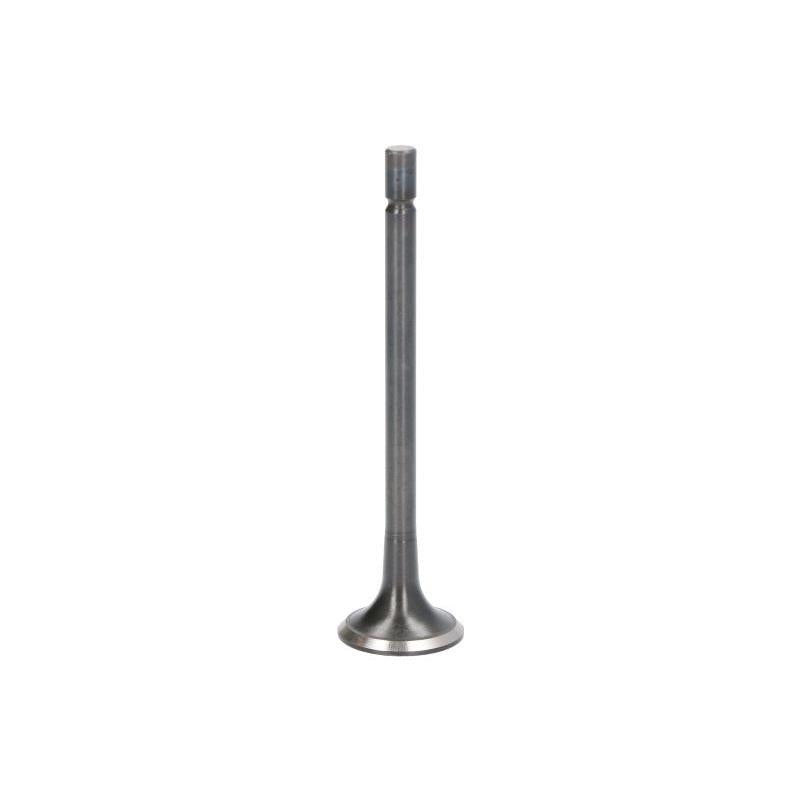 NE 148087000200 Exhaust Valve