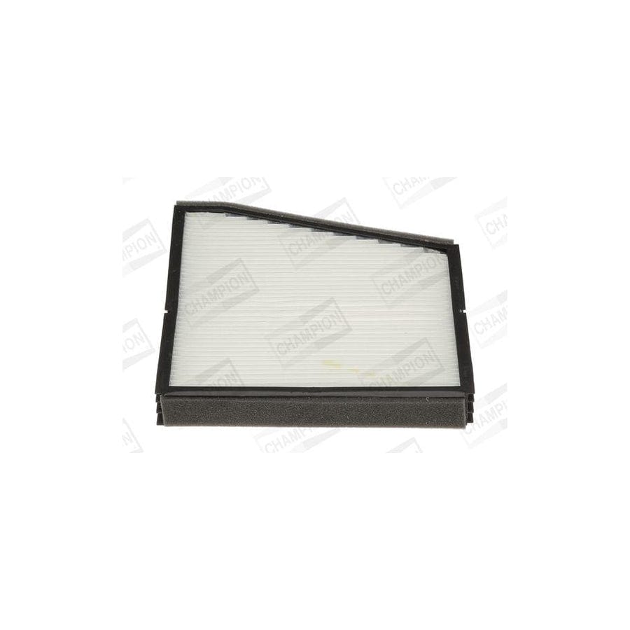Champion Ccf0065 Pollen Filter