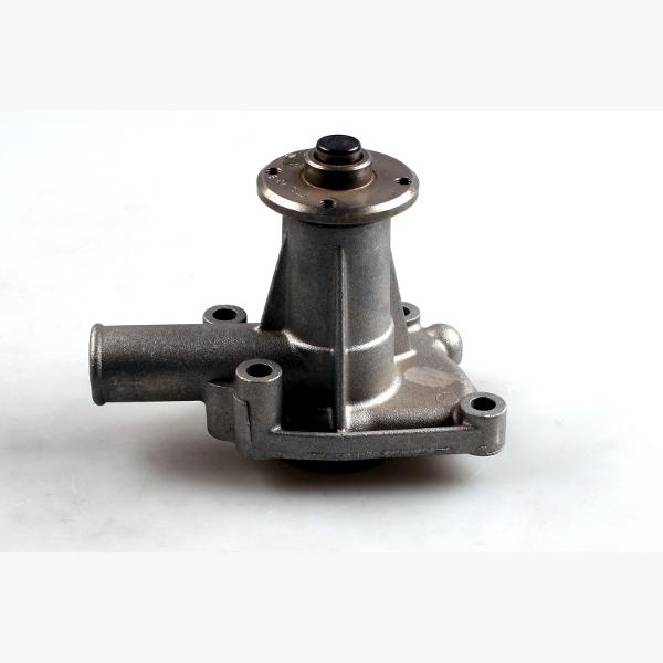 HEPU P1024 Water Pump