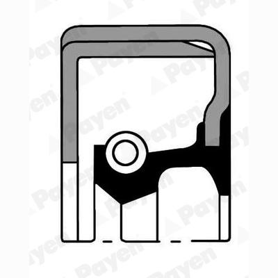 PAYEN NJ069 Wheel Hub Shaft Seal