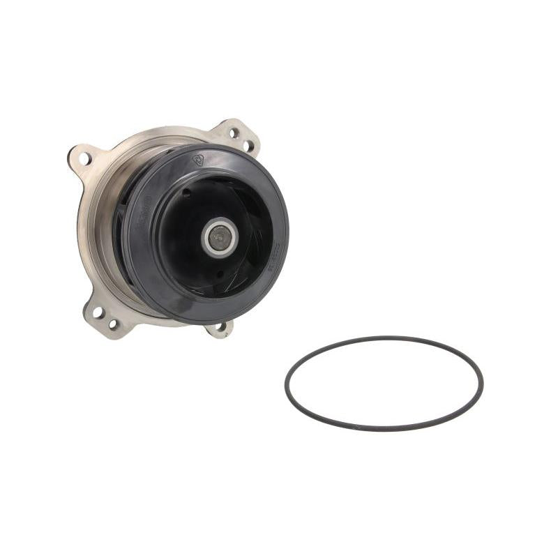 OMP OMP197.355 Water Pump