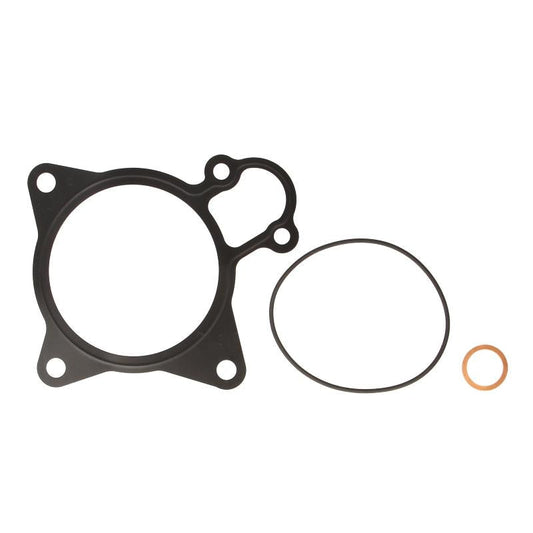LEMA LE53050.25 Water Pump Gasket Set
