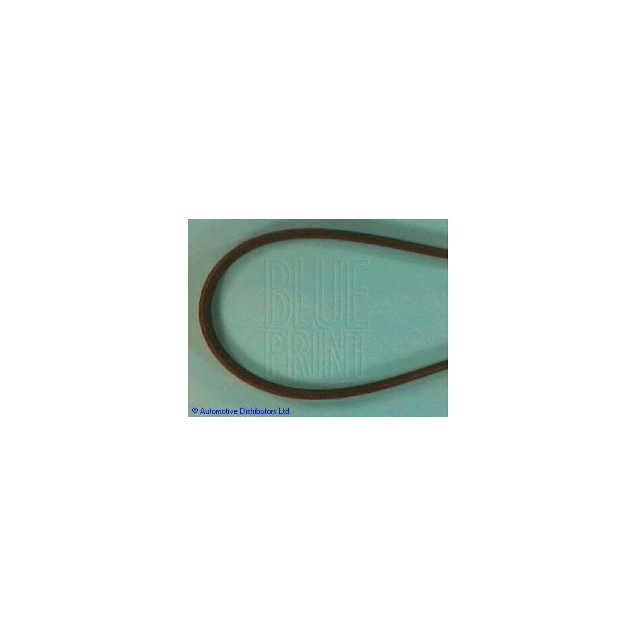Blue Print Adt39619 V-Ribbed Belt
