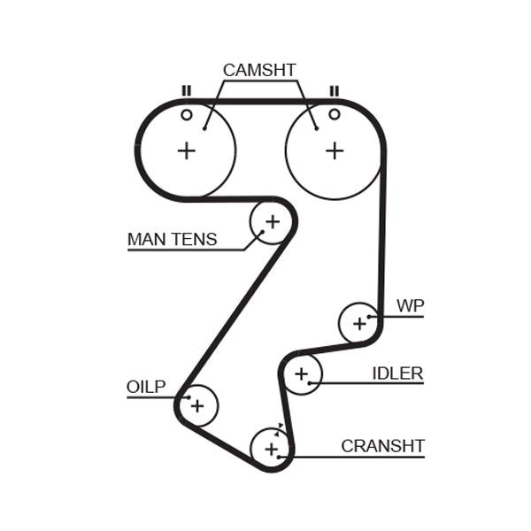 GATES GAT5404XS Timing Belt