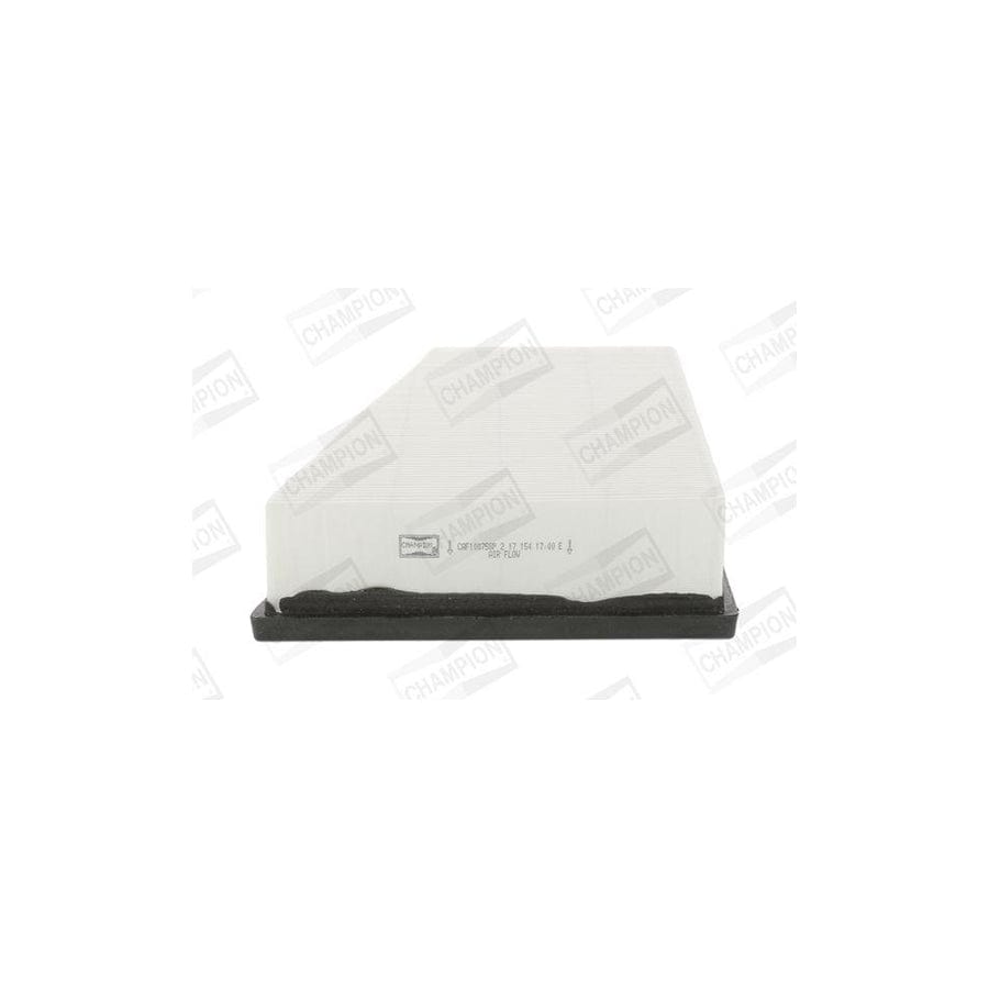 Champion Caf100758P Air Filter