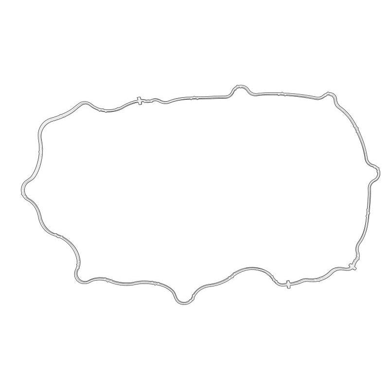OE CNH 504163121-CNH Cylinder Head Cover Gasket