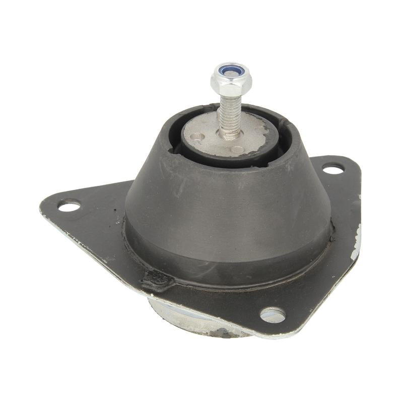 DELPHI TEM035 Engine Mount