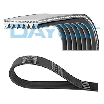 DAYCO DAY7PK2005 V-Ribbed Belt